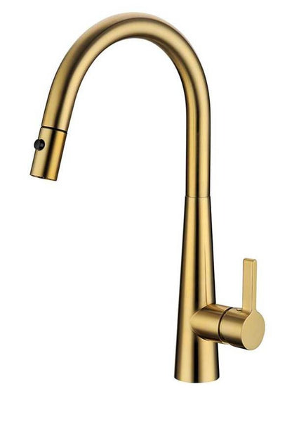 Palm Pull Out Kitchen Sink Mixer - Brushed Gold
